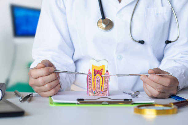 Best Tooth Pain Emergency Relief  in Citronelle, AL